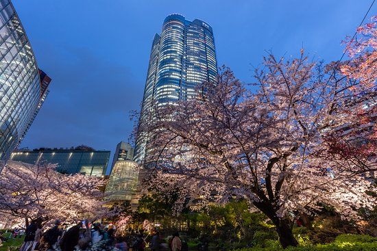 Roppongi Hills Mori Tower